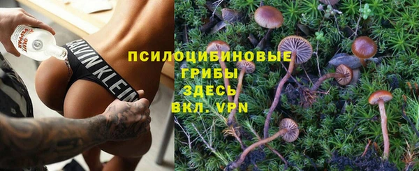 шишки Алексеевка