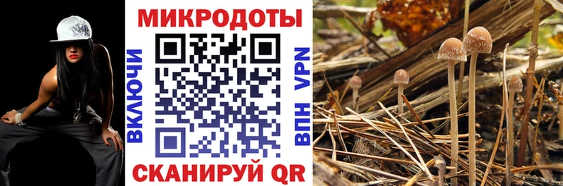 Псилоцибиновые грибы прущие грибы купить цена Алексин