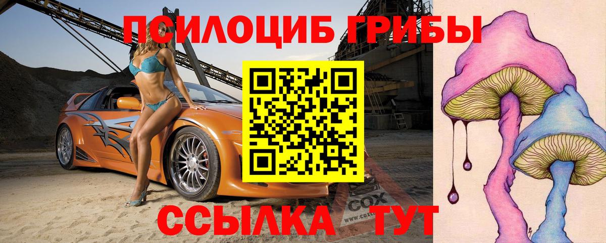 Галлюциногенные грибы Psilocybine cubensis Алексин