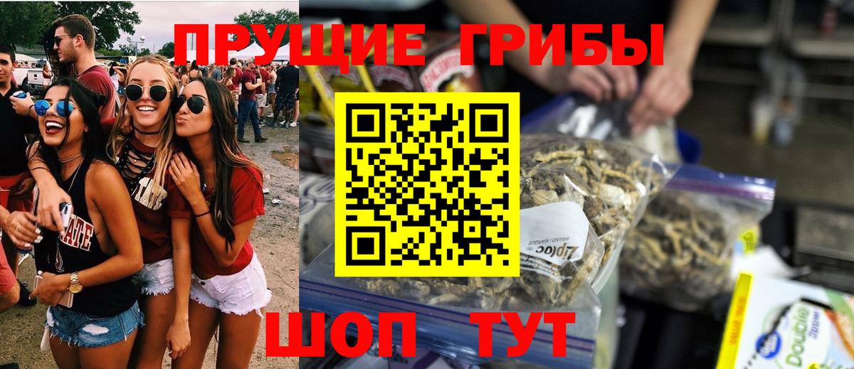 Алексин  Псилоцибиновые грибы мухоморы  где продают наркотики  Вход с VPN 